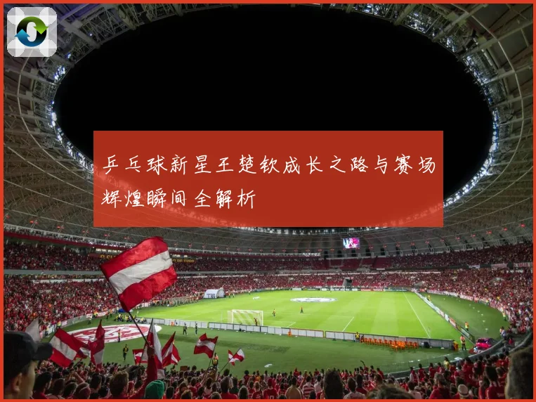 乒乓球新星王楚钦成长之路与赛场辉煌瞬间全解析